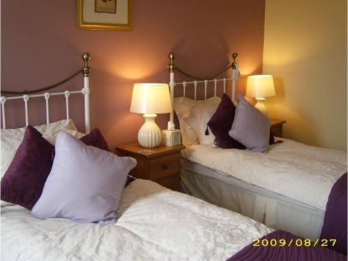 The Pack Horse Inn South Brent Quarto foto